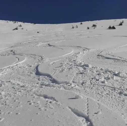 Wohlfahrter Appartamento Bad Mitterndorf