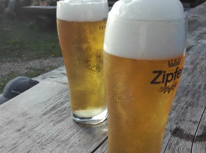 Wohlfahrter * Bad Mitterndorf